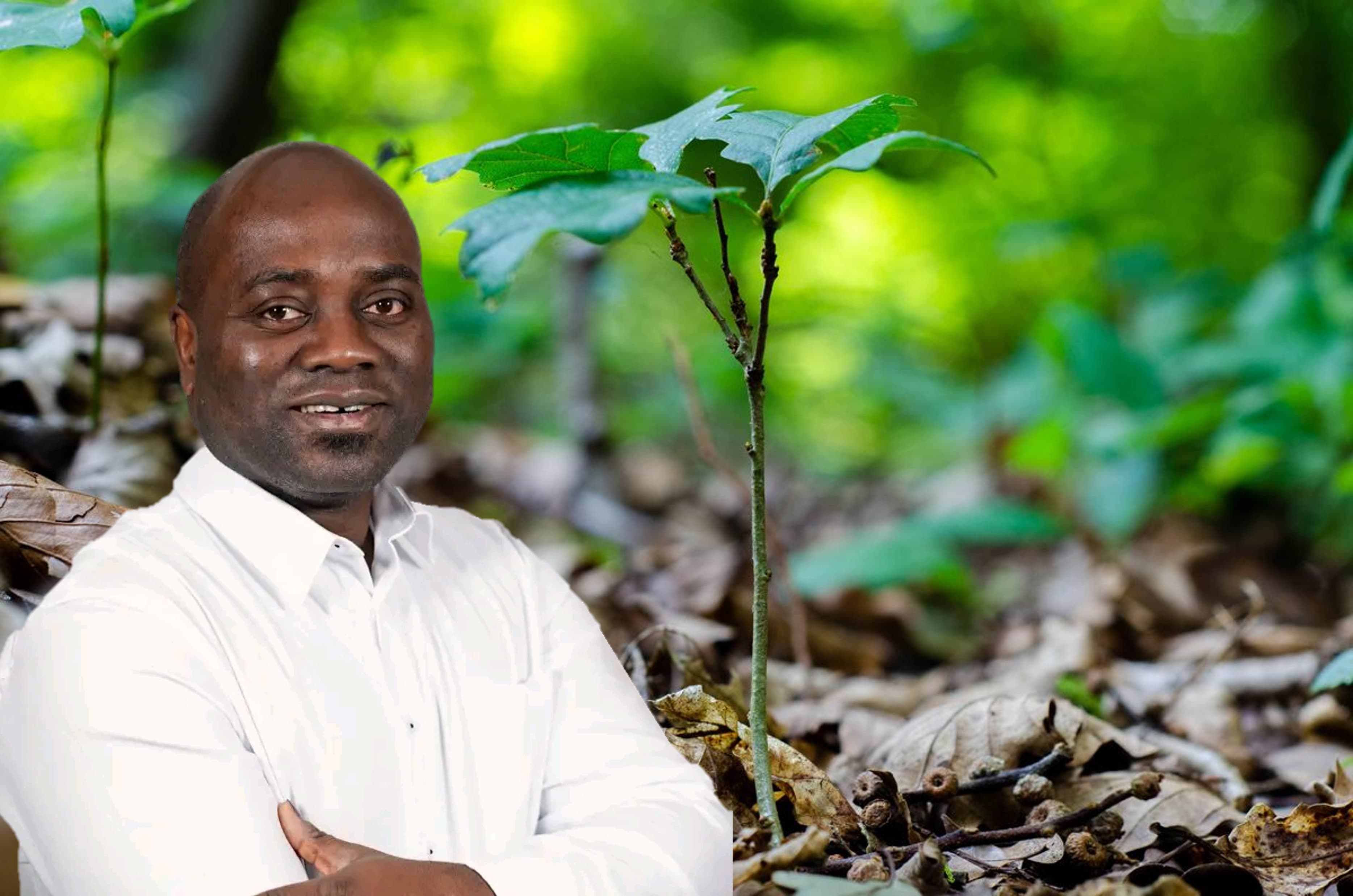 Wilfried Enock TCHÉKPO, coordonnateur international de “Treedurable”
